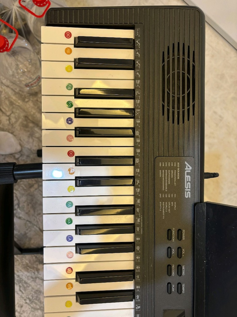 Alesis Melodi 61 org - 7