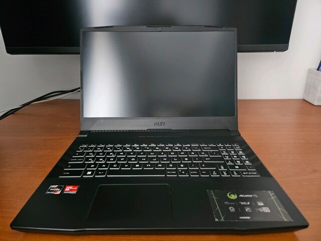 MSI ALPHA 15 B5EEK-065XTR Oyuncu Dizüstü Bilgisayar