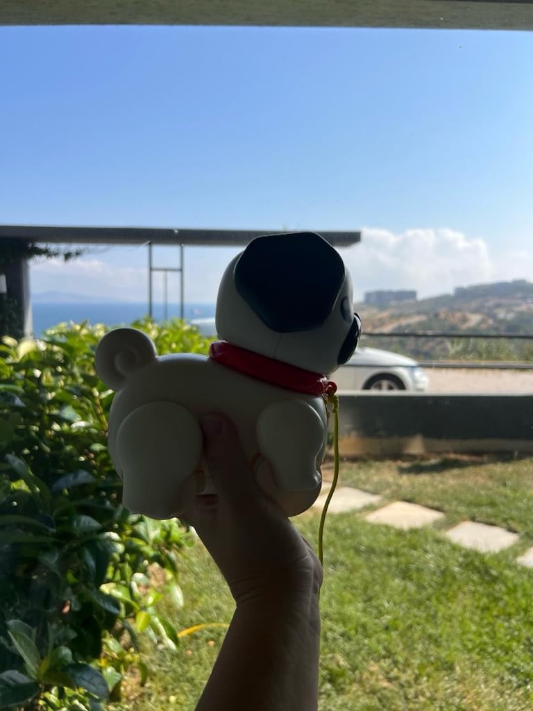 Fisher-Price Sesli Minik Dostumla Yürüyüş Eğlenceli Çekçekli Köpek Oyu - 2