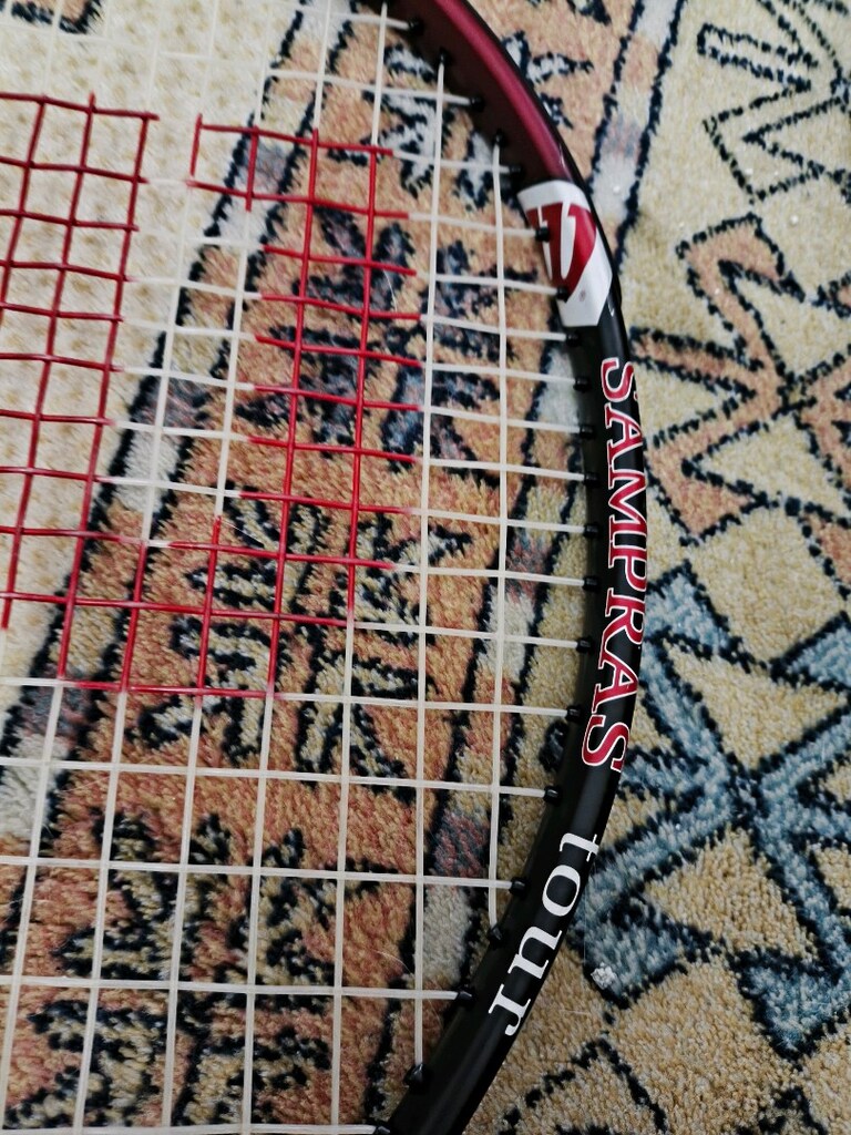 Wilson Sampras Tour 25 - 5