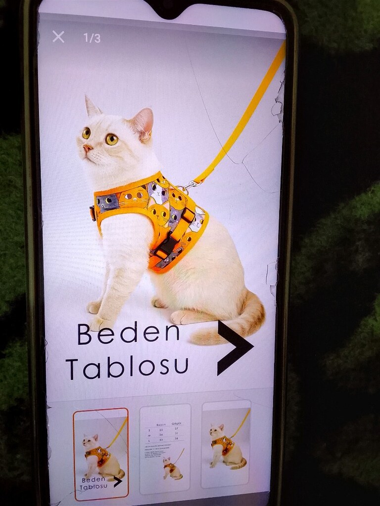 kedi tasması - 4