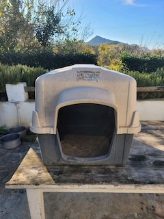 Köpek kulübesi