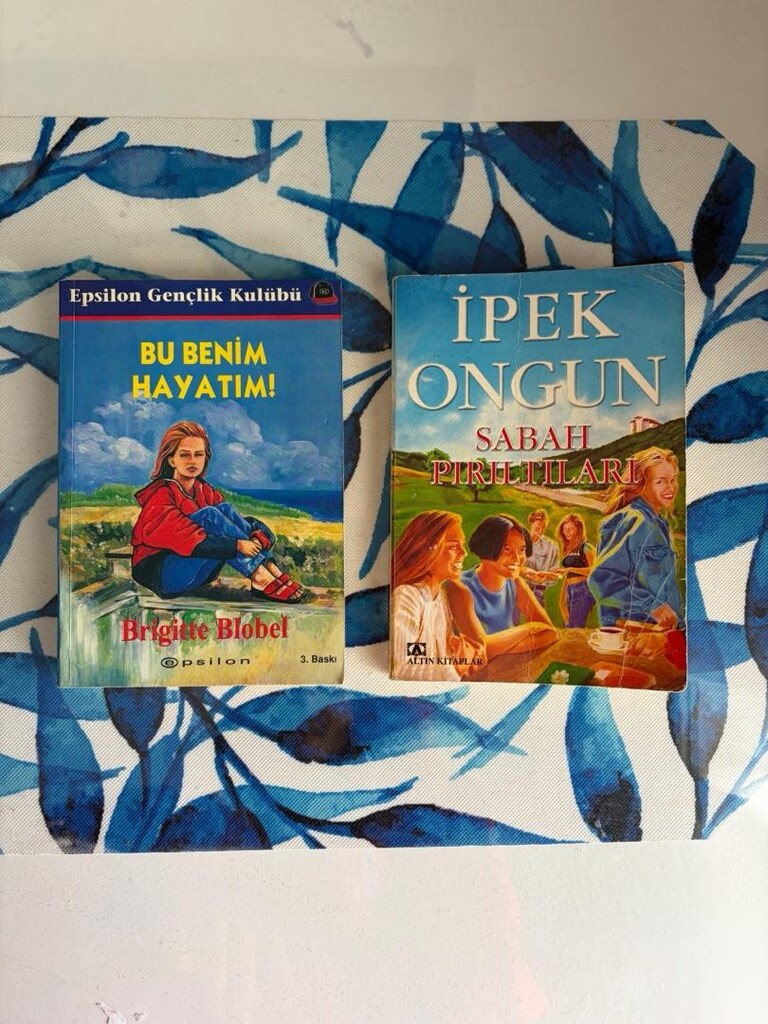 Gençlik öykü kitabı