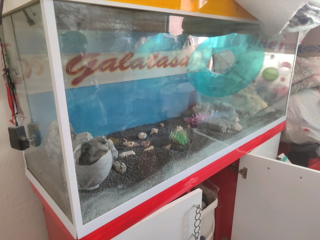 500 Lt akvaryum fulll - 3