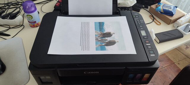 Canon Pixma G3411 Wi-Fi + Tarayıcı + Fotokopi Renkli YAZICI