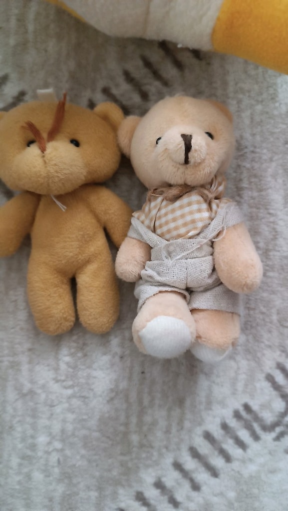 peluş ayı - 2