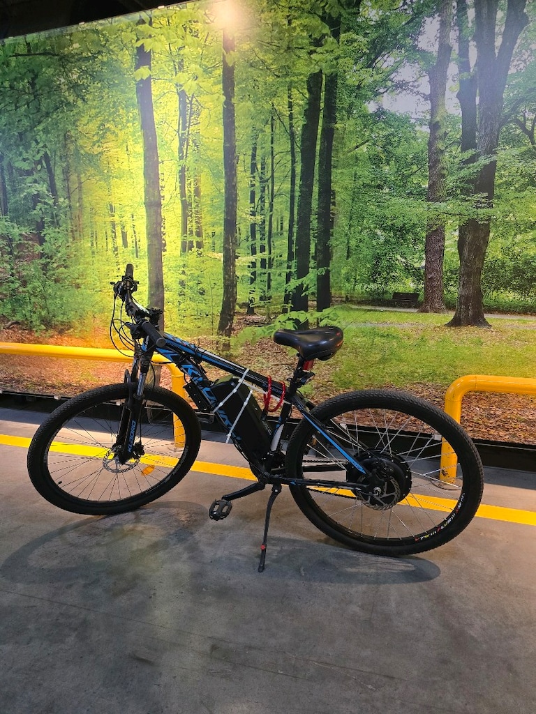 1000w 60km Elektrikli Bisiklet
