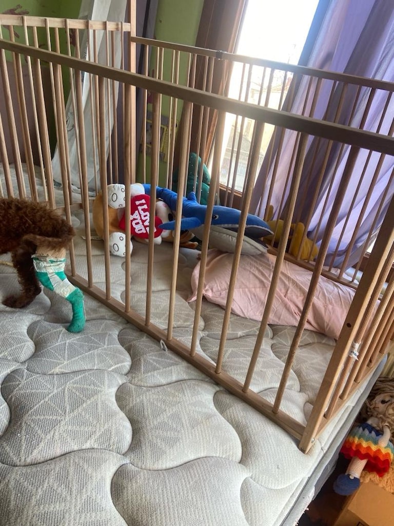 köpek çiti - 3