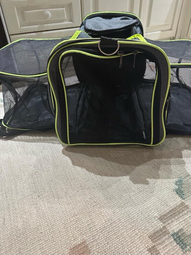 kedi köpek seyahat çantası - 4