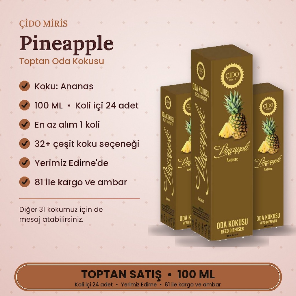 ÇİDO MİRİS ODA KOKUSU 100ML ANANAS TOPTAN FİYAT - 2