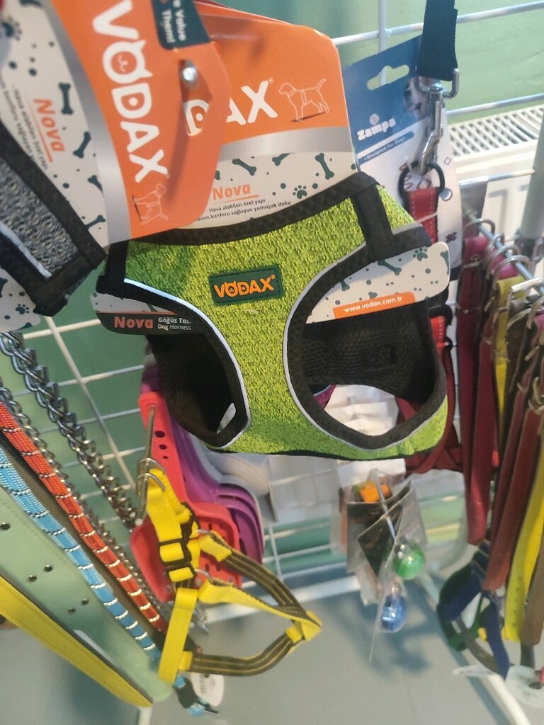 köpek bel tasması - 2