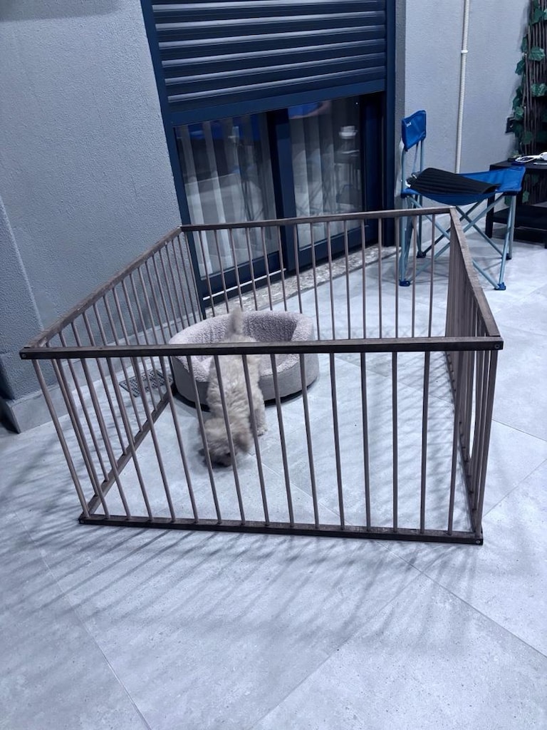 kedi köpek çiti - 4