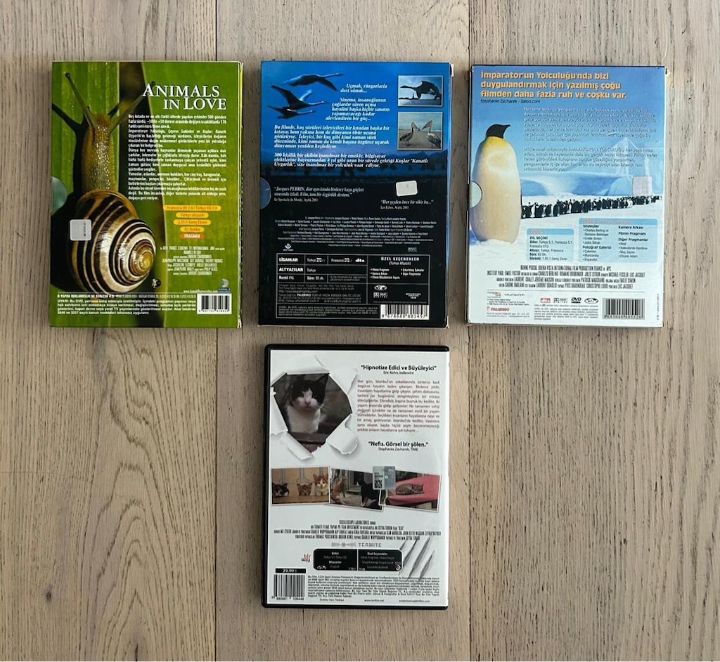 Doğa ve Hayvanlar Temalı 4lü DVD Seti - 2