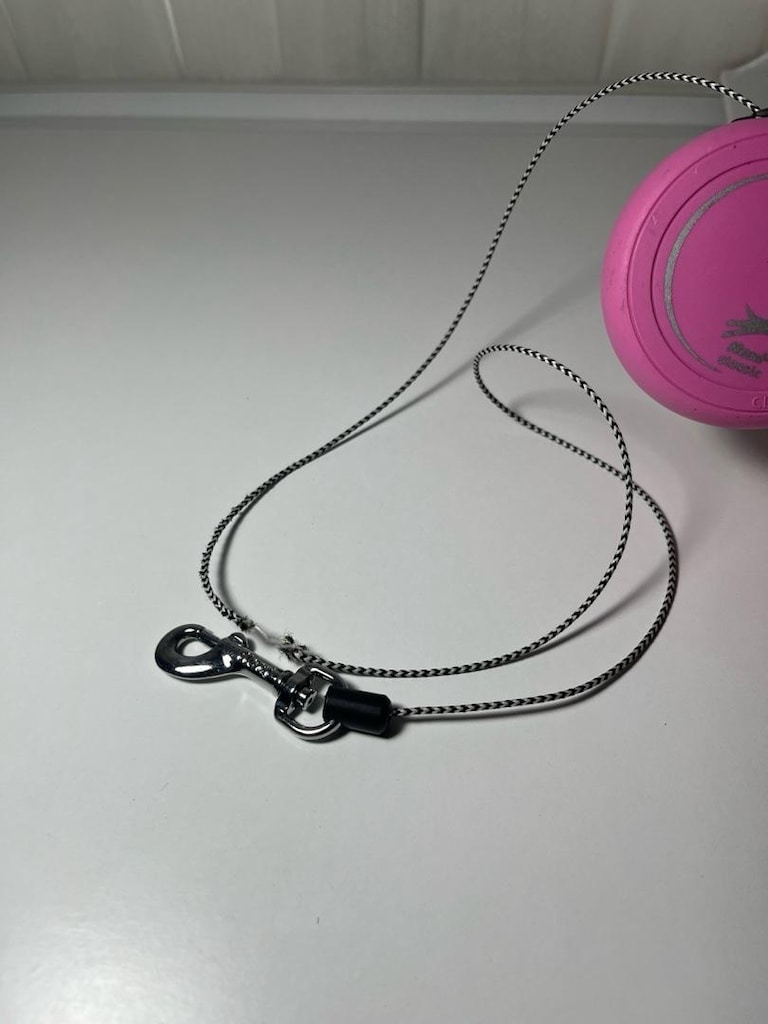 Flexi 3m Kedi Köpek Tasması - 2