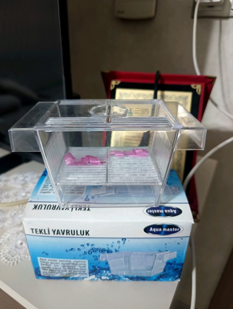 AKVARYUM YAVRULUĞU - 2