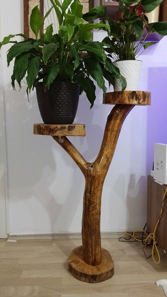 ahşap dekor saksilik - 2