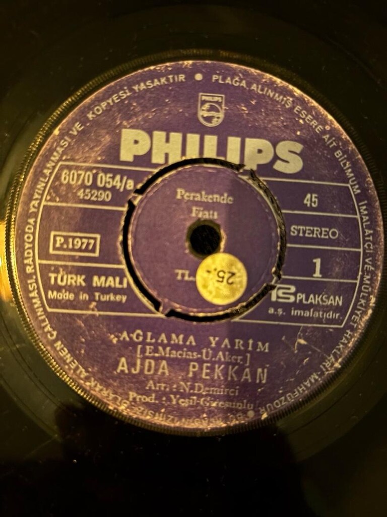 ajda pekkan 33lükleri - 15