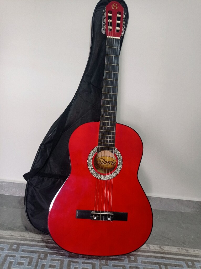 SİLVERİO 4/4 GİTAR - 2