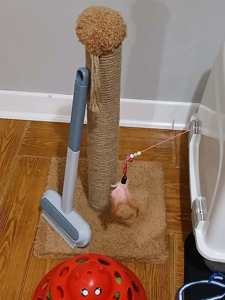 Kedi malzemeleri - 9