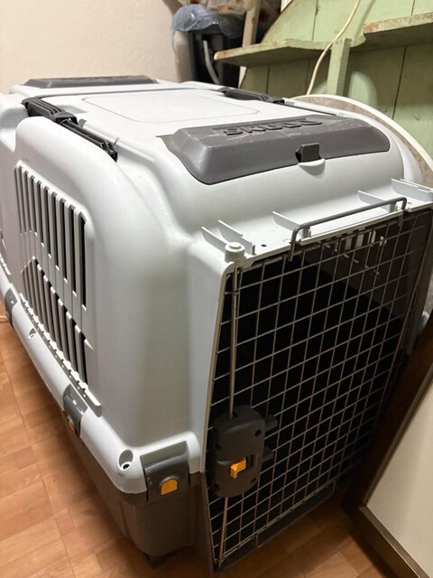 skudo kedi köpek taşıma kafesi