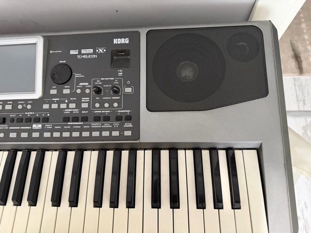 KORG PA900 ev aleti - 2