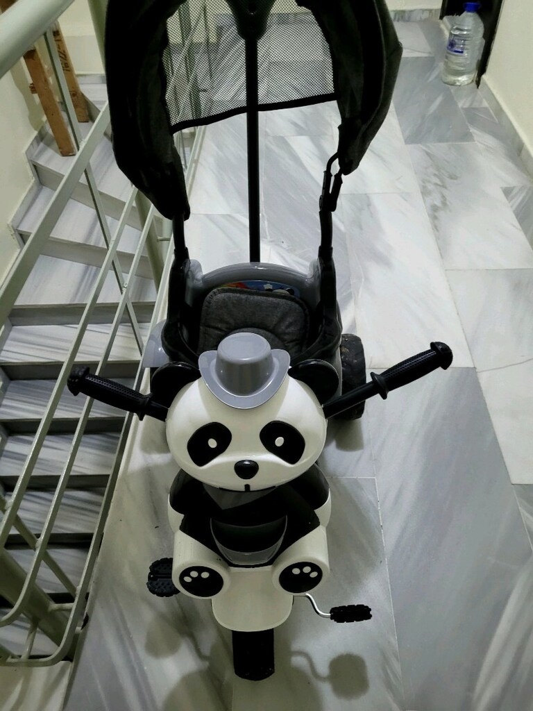 Panda Bisiklet - 4