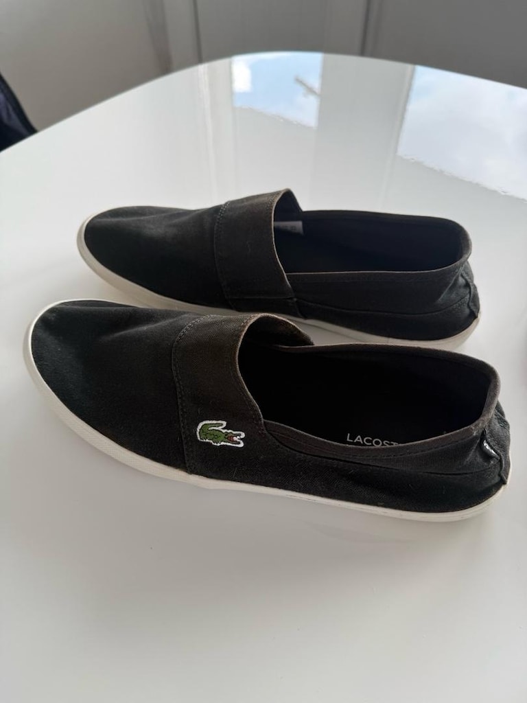 Erkek Lacoste Canvas Ayakkabı
