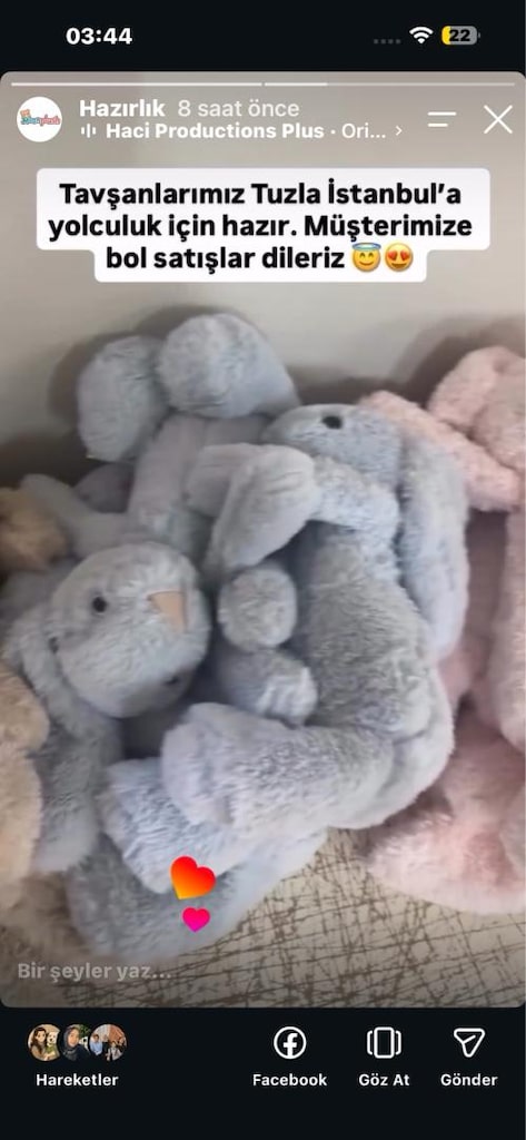 TOPTAN UYKU ARKADAŞI PELUŞ TAVŞAN 34cm - 5