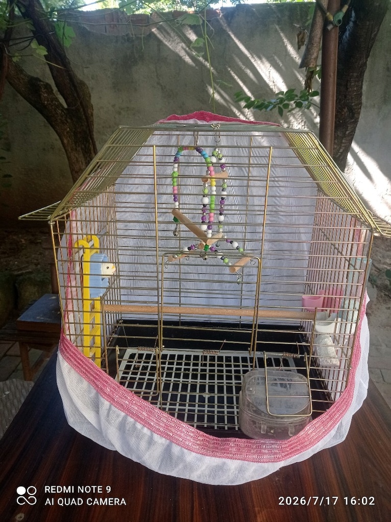 muhabbet kuşu kafesi - 4