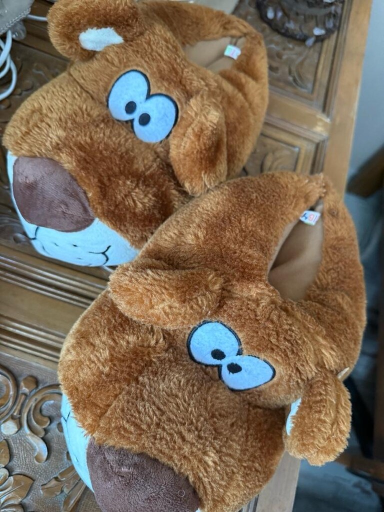 twigy ev panduf