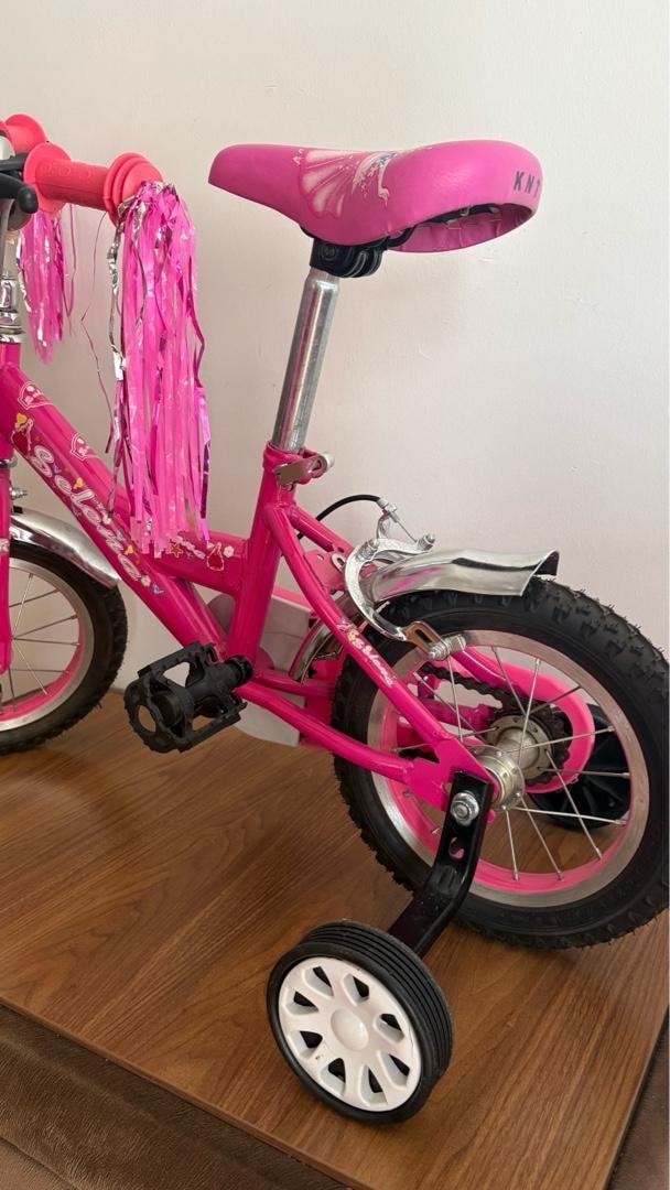 BMX Kız Çocuk Bisiklet - 4