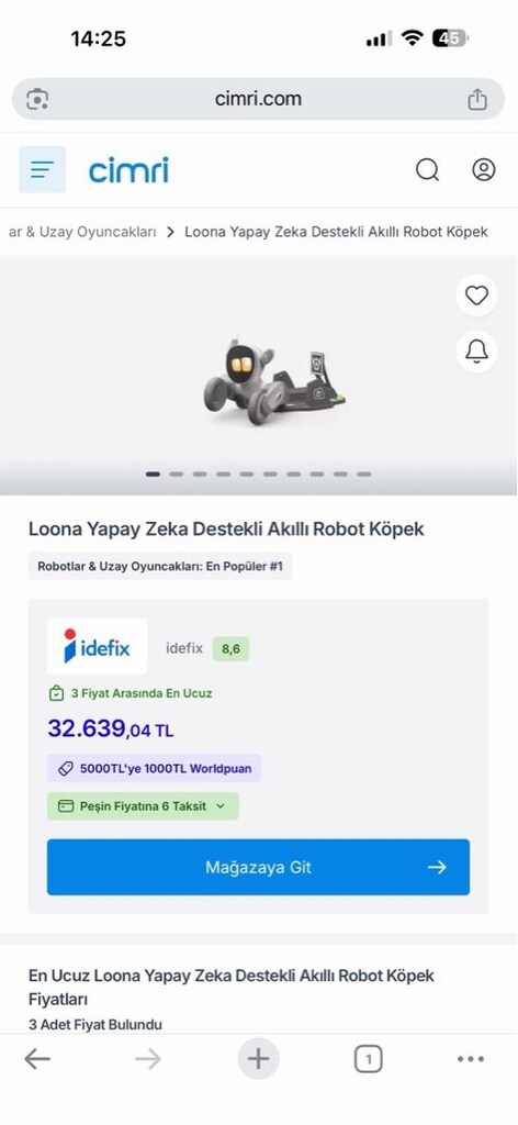 loona robot köpek - 3
