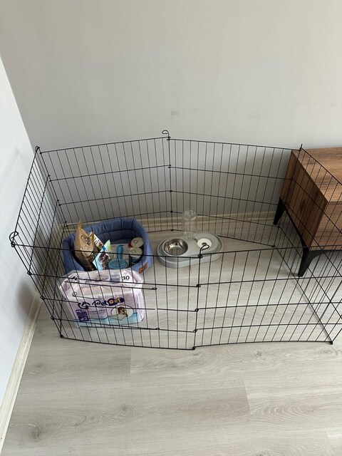 Eksiksiz Yavru Köpek Başlangıç Seti