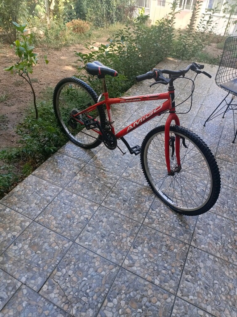 Amigo bisiklet - 2