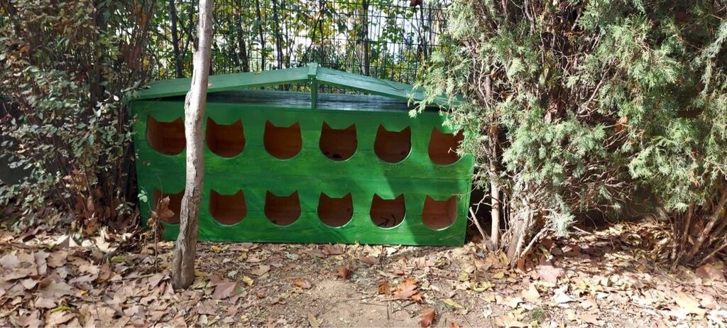 sokak kedi evi - 2
