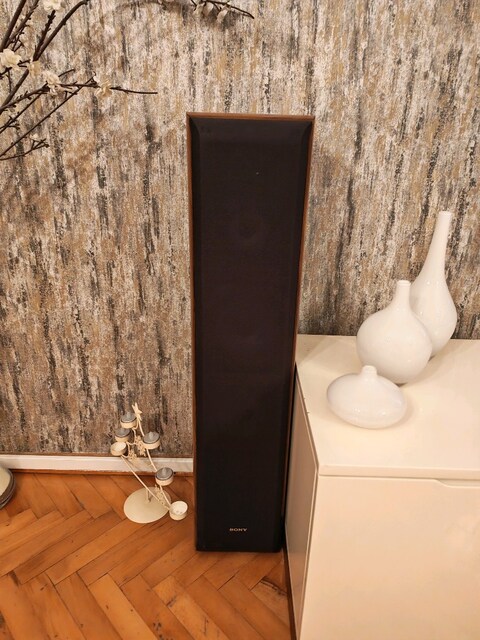 sony ss 6000p