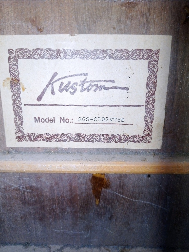 AKUSTİK ELEKTRO GİTAR - 10