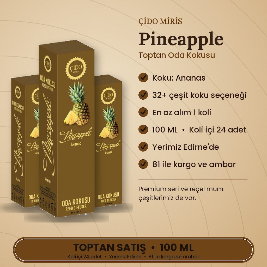ÇİDO MİRİS ÇUBUKLU ODA KOKUSU 100ML ANANAS - TOPTAN 32 ÇEŞİT - 2