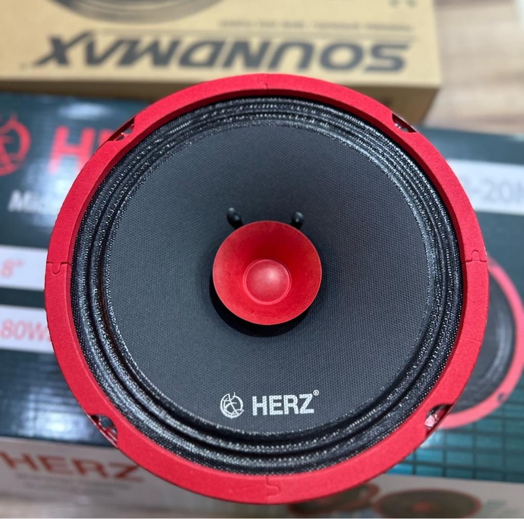HERZ 20 cm Midrange - 3