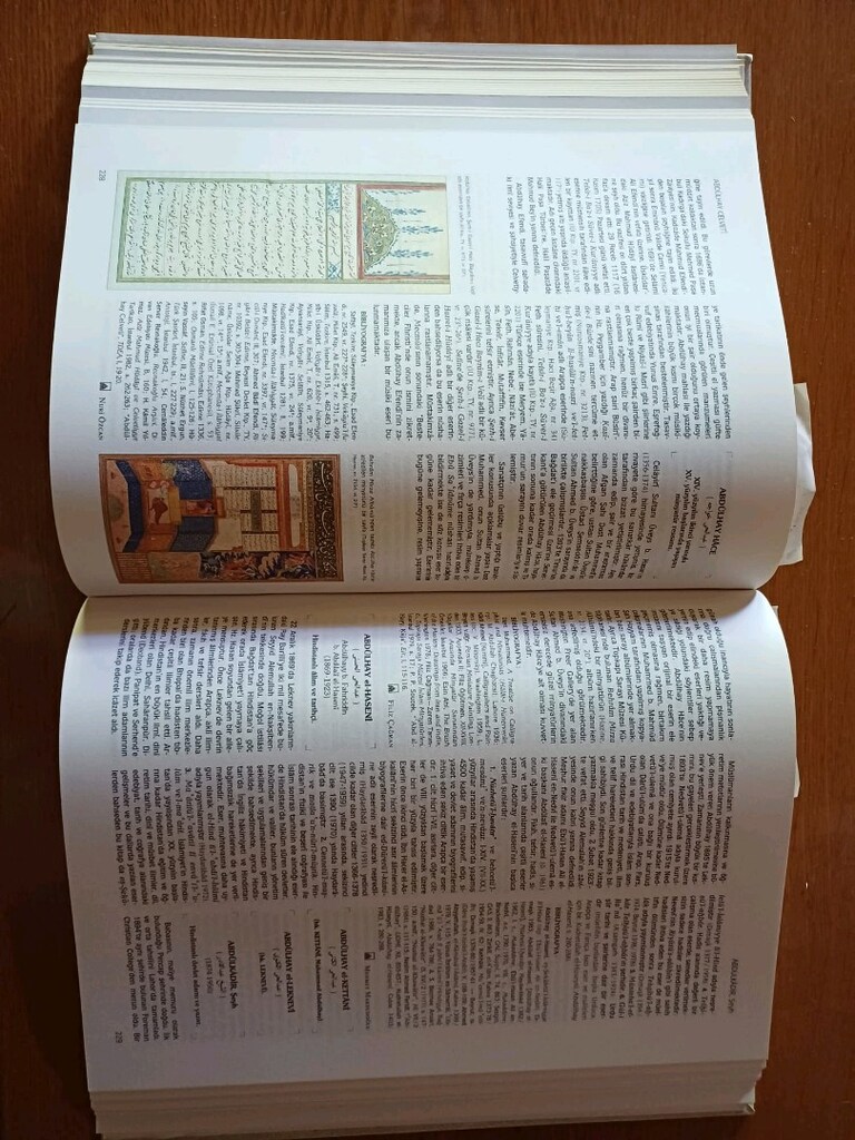 TDV İslam Ansiklopedisi İlk baskı 44 Cilt (Hediyeli) - 8