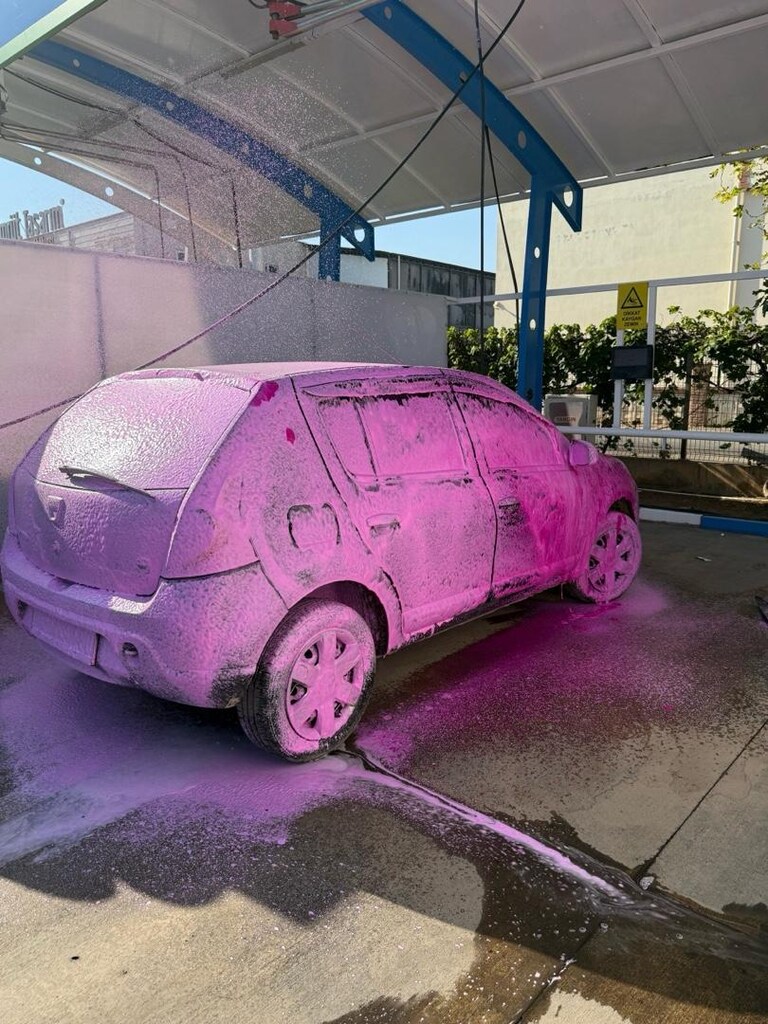 Bayandan Daica sandero - 7