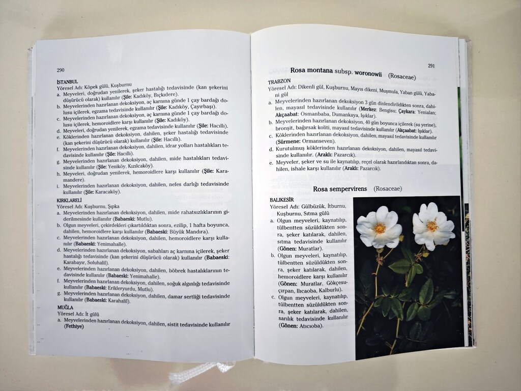 Kitap / Şifa Niyetine Türkiye'nin Bitkisel Halk İlaçları - 3