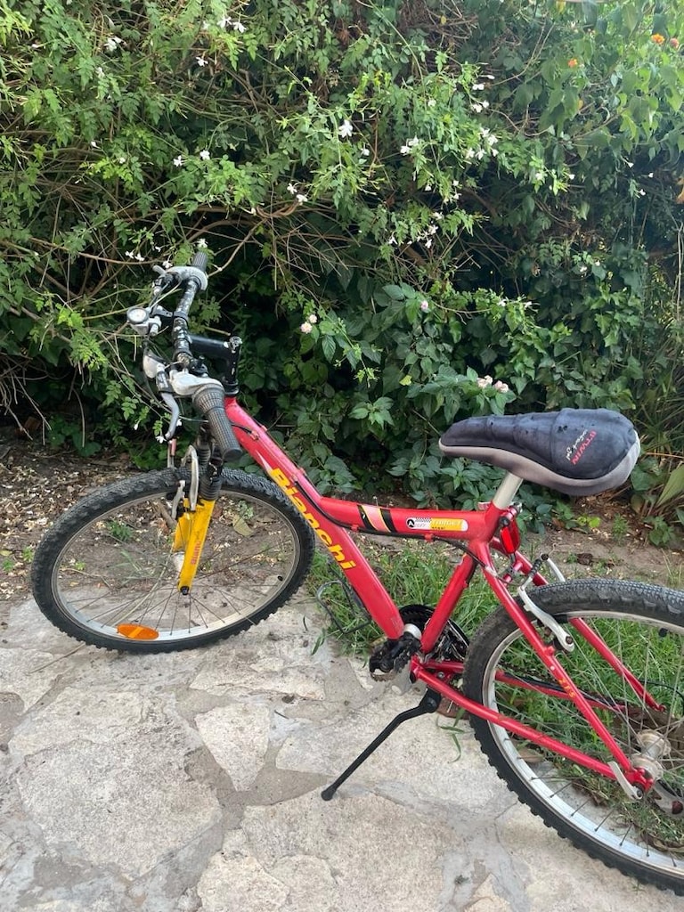 Bianchi 26 Jant Dağ Bisikleti - 6