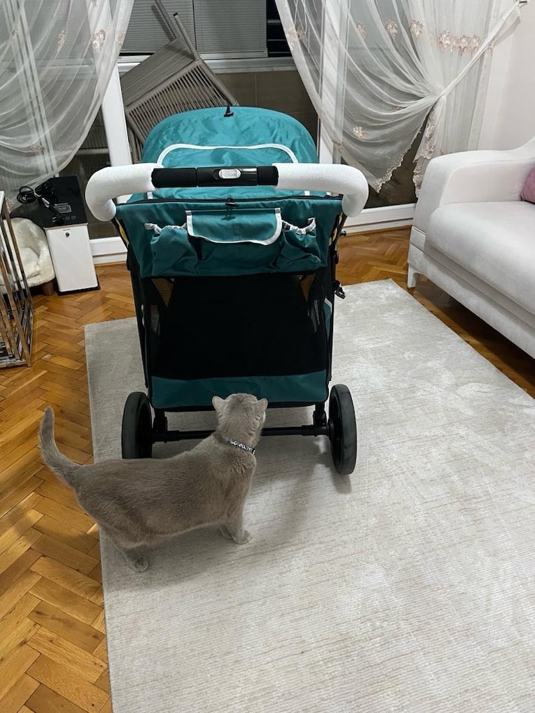 kedi pet hayvanı taşıma çantası - 2