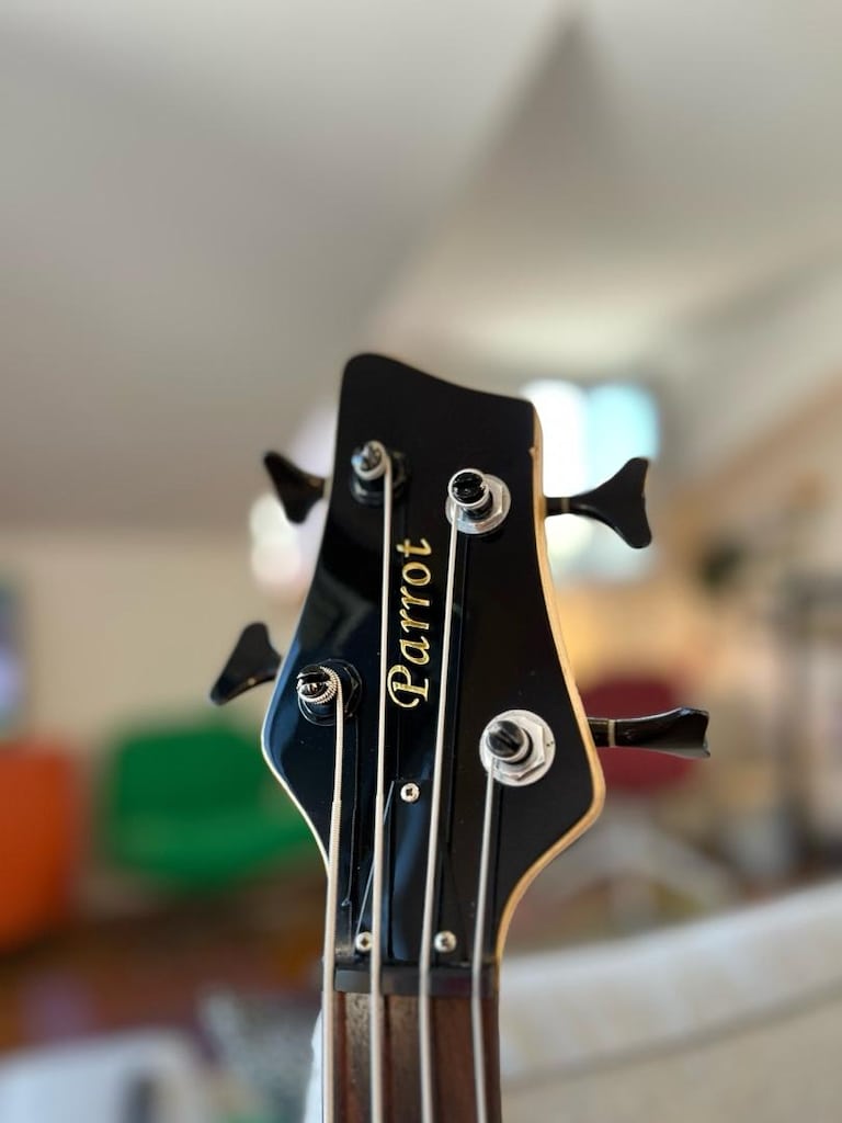 FULL SET PARROT BAS GİTAR + STAGG 20BA AMFİ + KABLO + PENA - 7