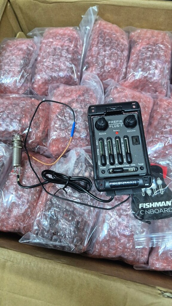 fishman profix plus t ekolayzer seti - 2