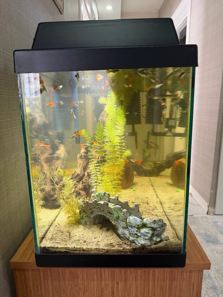 100 litre akvaryum - 2