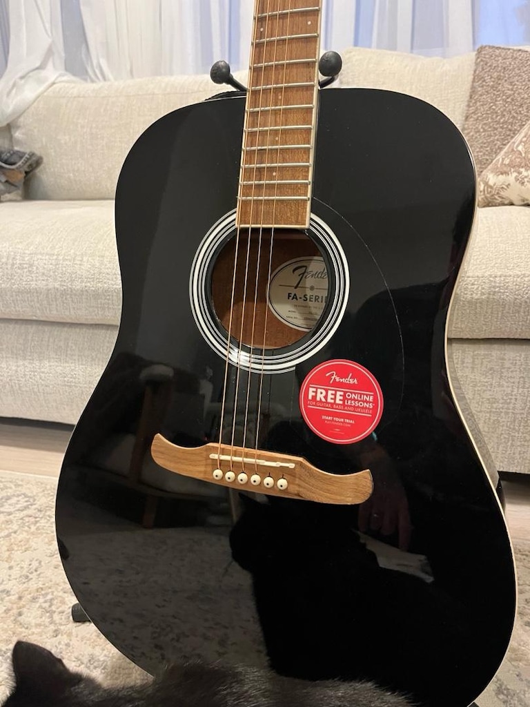 Fender Akustik Gitar - 4