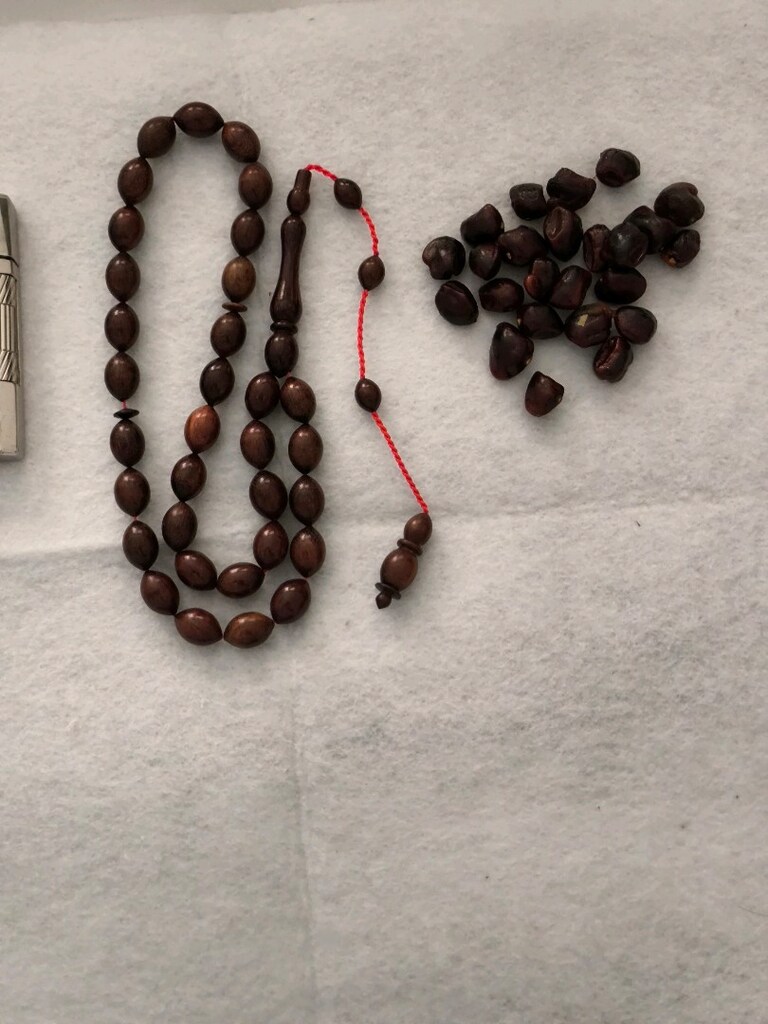 Demirhindi ağacı tesbih - 9