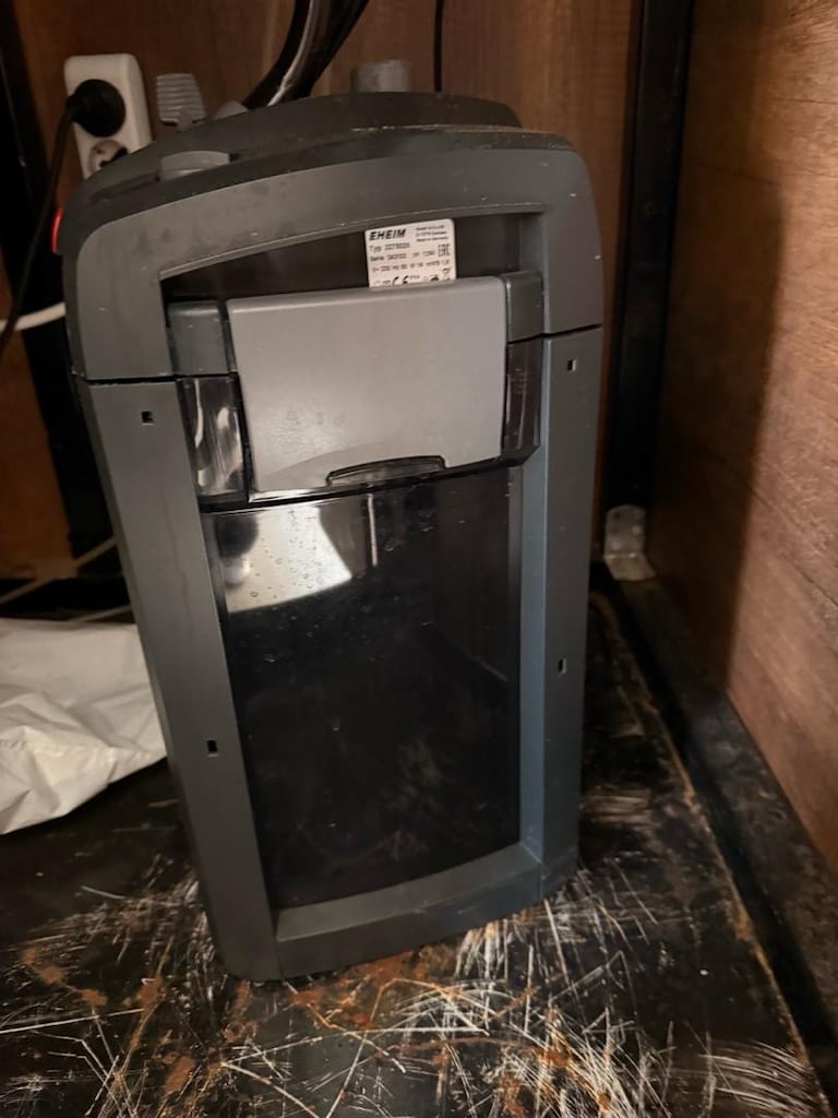 eheim professional 4+ - 2